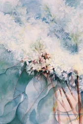 Lila, Maud Norcut