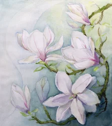 Magnolior (wc)