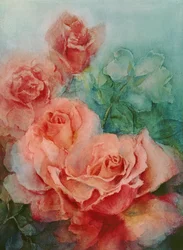Rosa rosor, Prima Ballerina