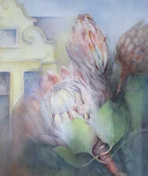 Protea på Stellenbosch, 1992 (wc)