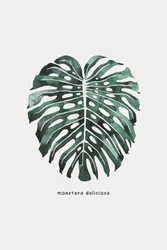 Akvarell av ett Monstera-blad