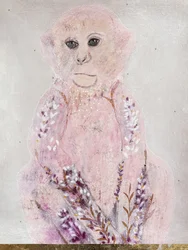 Pink Monkey Lavendel