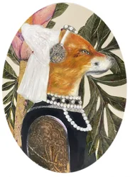 Porträtt av Regal Fox