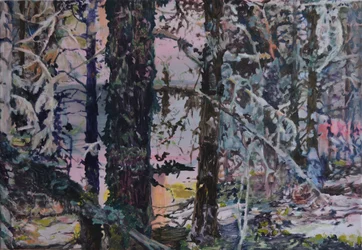 Ljuset i den förtrollade skogen