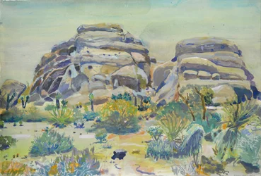 Landskapet i Joshua Tree