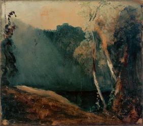 Skog och sjö