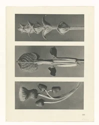 planera studien Archetypes of Art (serietitel)