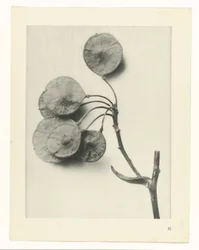 planera studien Archetypes of Art (serietitel)