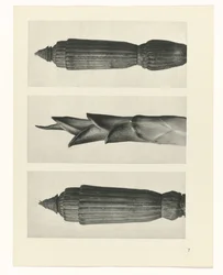 planera studien Archetypes of Art (serietitel)