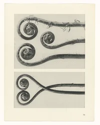 planera studie Archetypes of Art (serietitel)