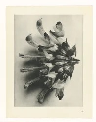 planera studien Archetypes of Art (serietitel)