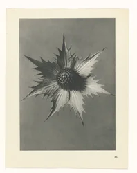planera studien Archetypes of Art (serietitel)