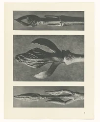 planera studie Archetypes of Art (serietitel)