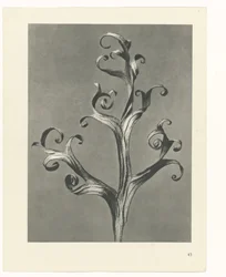 planera studie Archetypes of Art (serietitel)