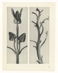 planera studien Archetypes of Art (serietitel)