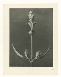 planera studien Archetypes of Art (serietitel)