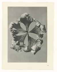 planera studien Archetypes of Art (serietitel)