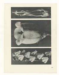 planera studien Archetypes of Art (serietitel)