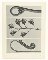 planera studien Archetypes of Art (serietitel)