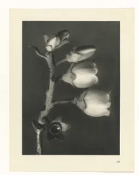 planera studie Archetypes of Art (serietitel)