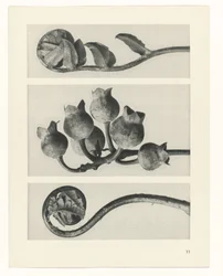 planera studien Archetypes of Art (serietitel)