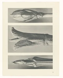 planera studien Archetypes of Art (serietitel)