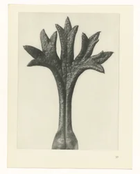 planera studie Archetypes of Art (serietitel)