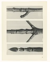 planera studie Archetypes of Art (serietitel)