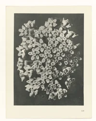 planera studien Archetypes of Art (serietitel)