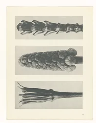 planera studien Archetypes of Art (serietitel)