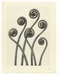 planera studien Archetypes of Art (serietitel)
