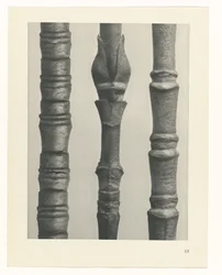 planera studien Archetypes of Art (serietitel)