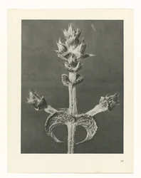 planera studien Archetypes of Art (serietitel)