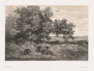 Djur och landskap efter naturen: Vildsvin i en damm, ca. 1850.