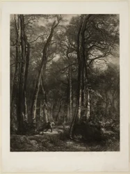 I skogen