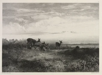 Landskap med rådjur