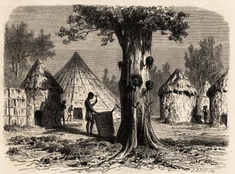 Krigets träd, i en by Djour, Bahr-el-Gazal-regionen, Sudan, teckning av Karl Girardet (1813-1871) för att illustrera resan till floden av gasellerna i A. Bolognesi, 1856-1857. Gravyr i "" Le tour du monde"", redigerad av Edouard Charton