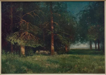 Skogslandskap med herde