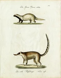 Utan titel