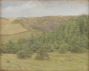 Svanninge Hills, Fyn