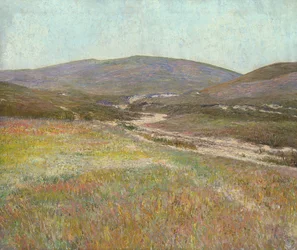 Valley nära Harburg