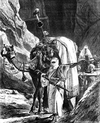 Rebellernas chefer, 1881