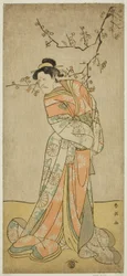 Skådespelaren Ichikawa Ebizo (Danjuro V) som hovdamen Iwafuji i pjäsen Gozen-gakari Sumo Soga, uppförd på Kawarazaki-teatern under den första månaden 1793 ()