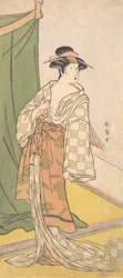 Segawa Chrysanthemum Woman Bra, va? 1785.