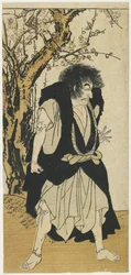 Ichikawa Danjuro V As Temonk Wantetsu