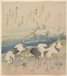 Ashi Clam, från serien ”Genroku Kasen Kai-awase”