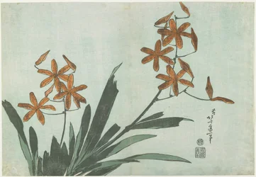 Blackberry Lilies, ca. 1832