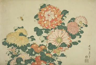 Chrysanthemums and Bee, från en namnlös serie stora blommor, ca 1833-34