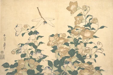 Dragonfly and Bellflower, sent 1820-tal.