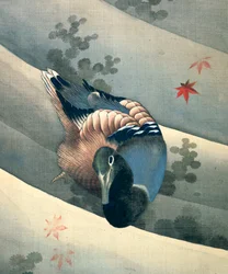 Anka som simmar i vatten, 1847